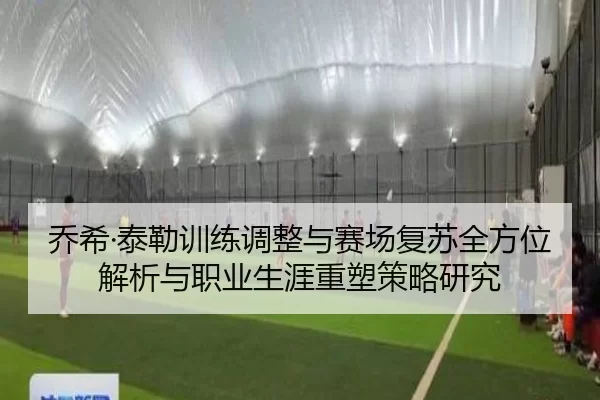 乔希·泰勒训练调整与赛场复苏全方位解析与职业生涯重塑策略研究