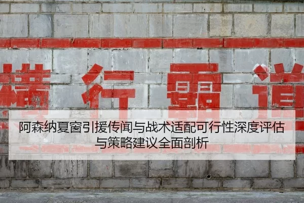 阿森纳夏窗引援传闻与战术适配可行性深度评估与策略建议全面剖析