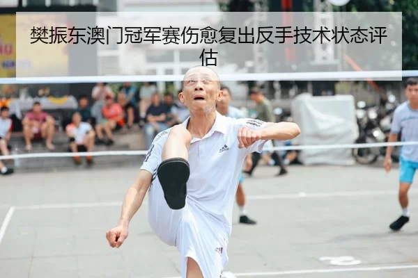 樊振东澳门冠军赛伤愈复出反手技术状态评估